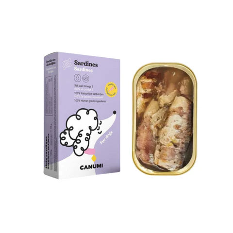 Canned sardines 115gr