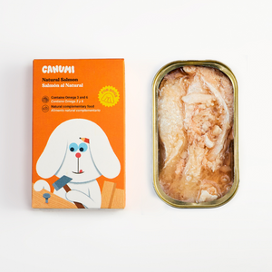 Canned salmon fillet 120gr