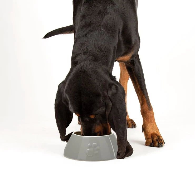 Long Eared Dog Bowl